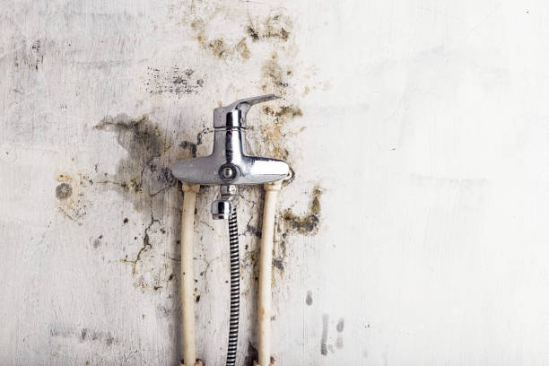  Dublin, PA Mold Removal Pros