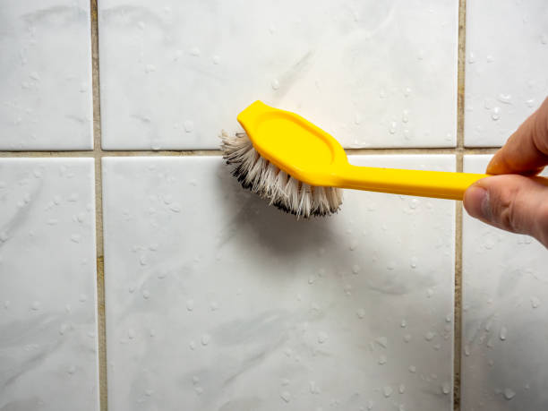 Best Mold Removal Near Me  in Dublin, PA