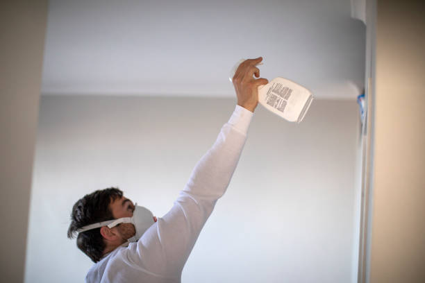 Best Water Damage Restoration  in Dublin, PA