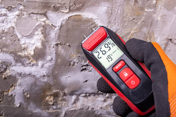 Best Mold Remediation Experts  in Dublin, PA
