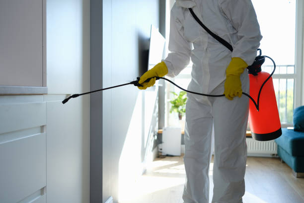 Best Crawl Space Mold Removal  in Dublin, PA