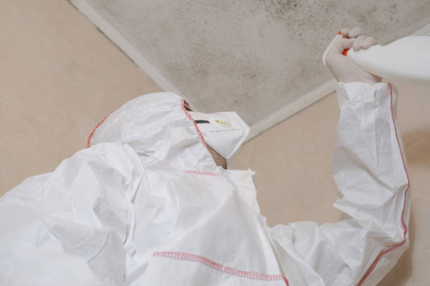 Best Crawl Space Mold Removal  in Dublin, PA